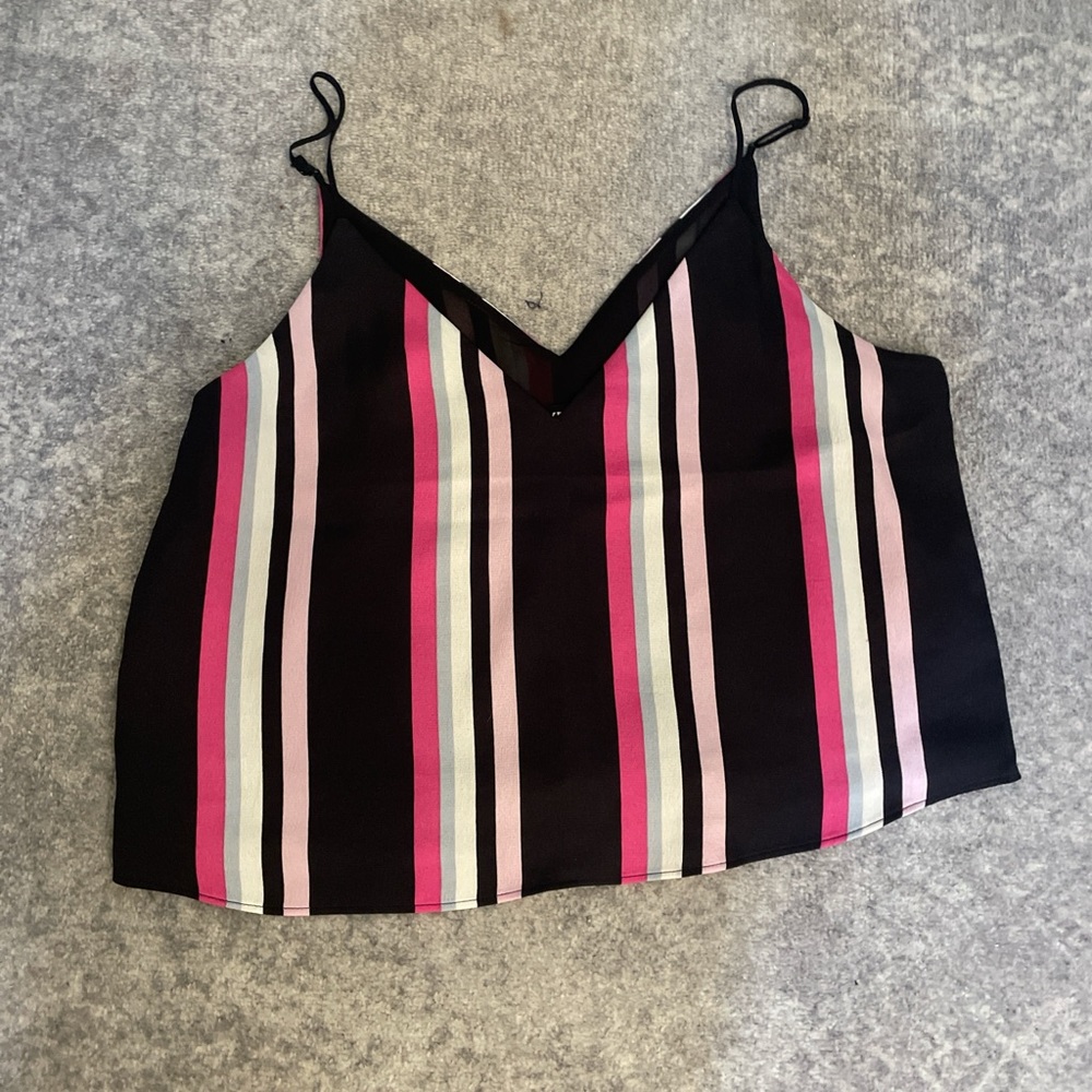 Express Multicolor Striped V-Neck Camisole